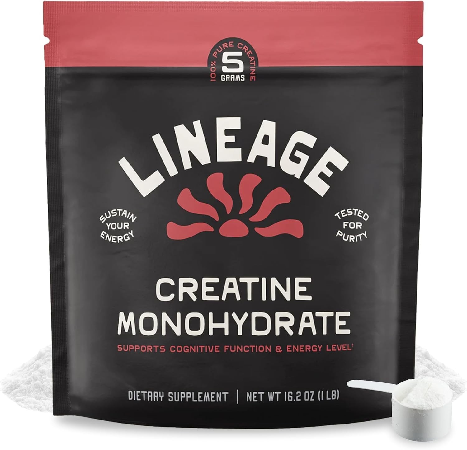 Micronized Creatine Monohydrate with Sea Salt – Micronized Creatine Powder fo…