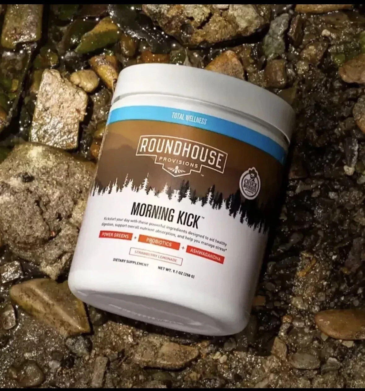 Roundhouse Provisions Morning Kick Digestive Powder – Strawberry Lemonade 9.1 oz