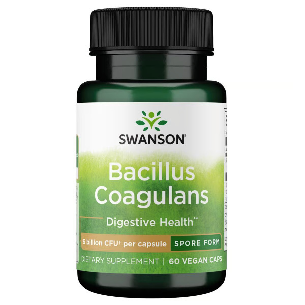 Swanson Bacillus Coagulans – Natural Probiotic w/ 6 Billion CFU, 60 Veg Caps