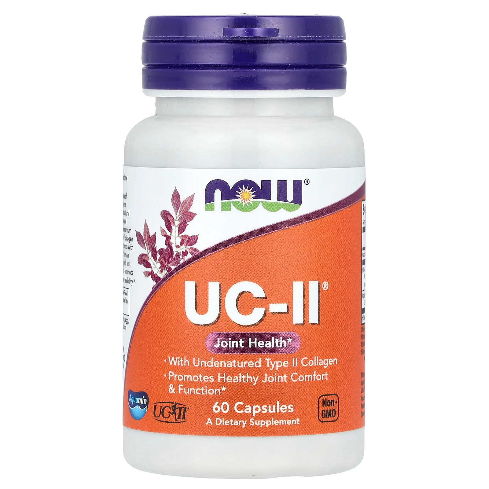 UC-II® Joint Health with Undenatured Type II Collagen, 60 Capsules