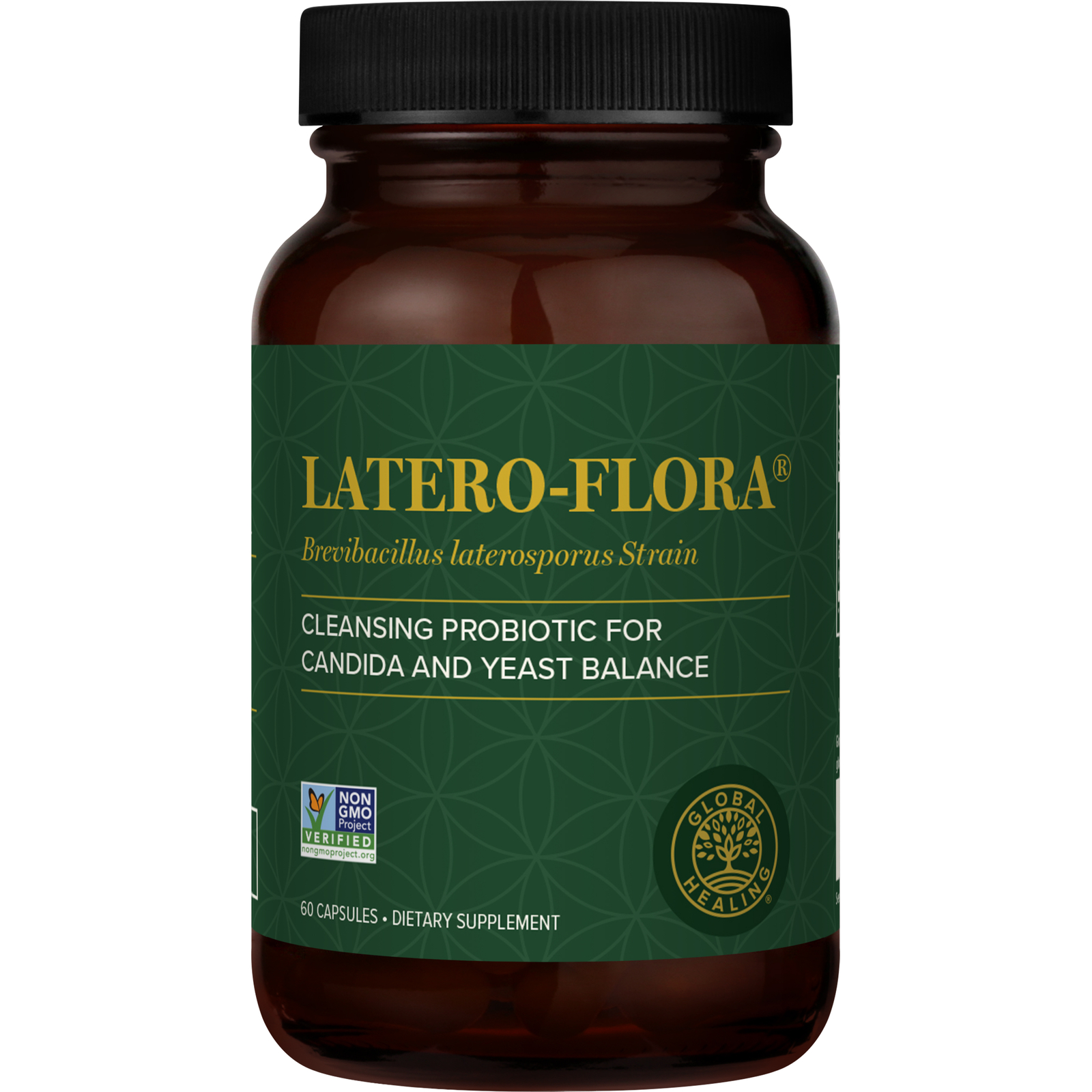 Latero-Flora Digestive Probiotics Supplement For Men & Women – 60 Caps, 2-Pack