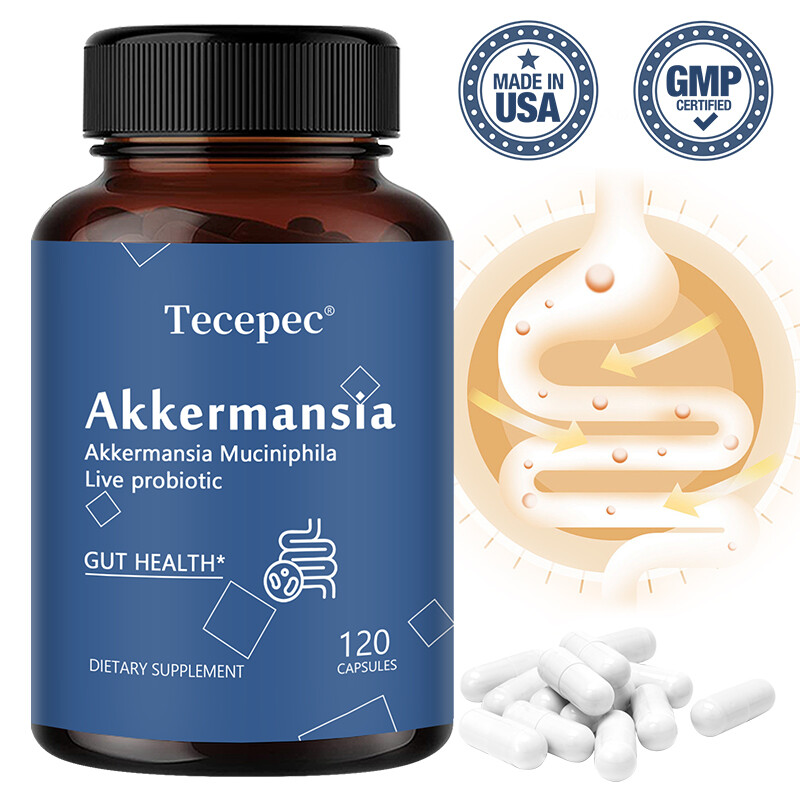 New Formula Akkermansia Muciniphila Live Probiotic Capsules Gut Health Support