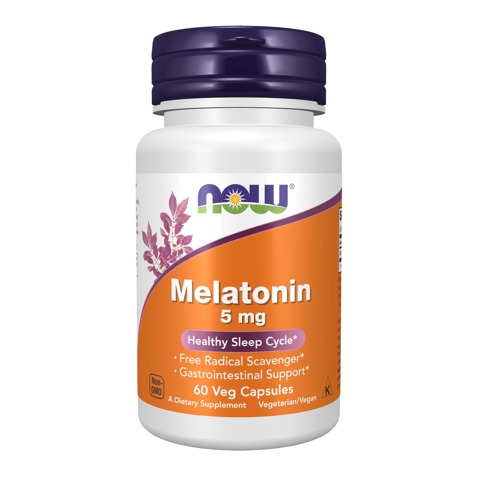 Melatonin Nutritional Supplement 60 Count Free Radical Scavenger Sleep Support