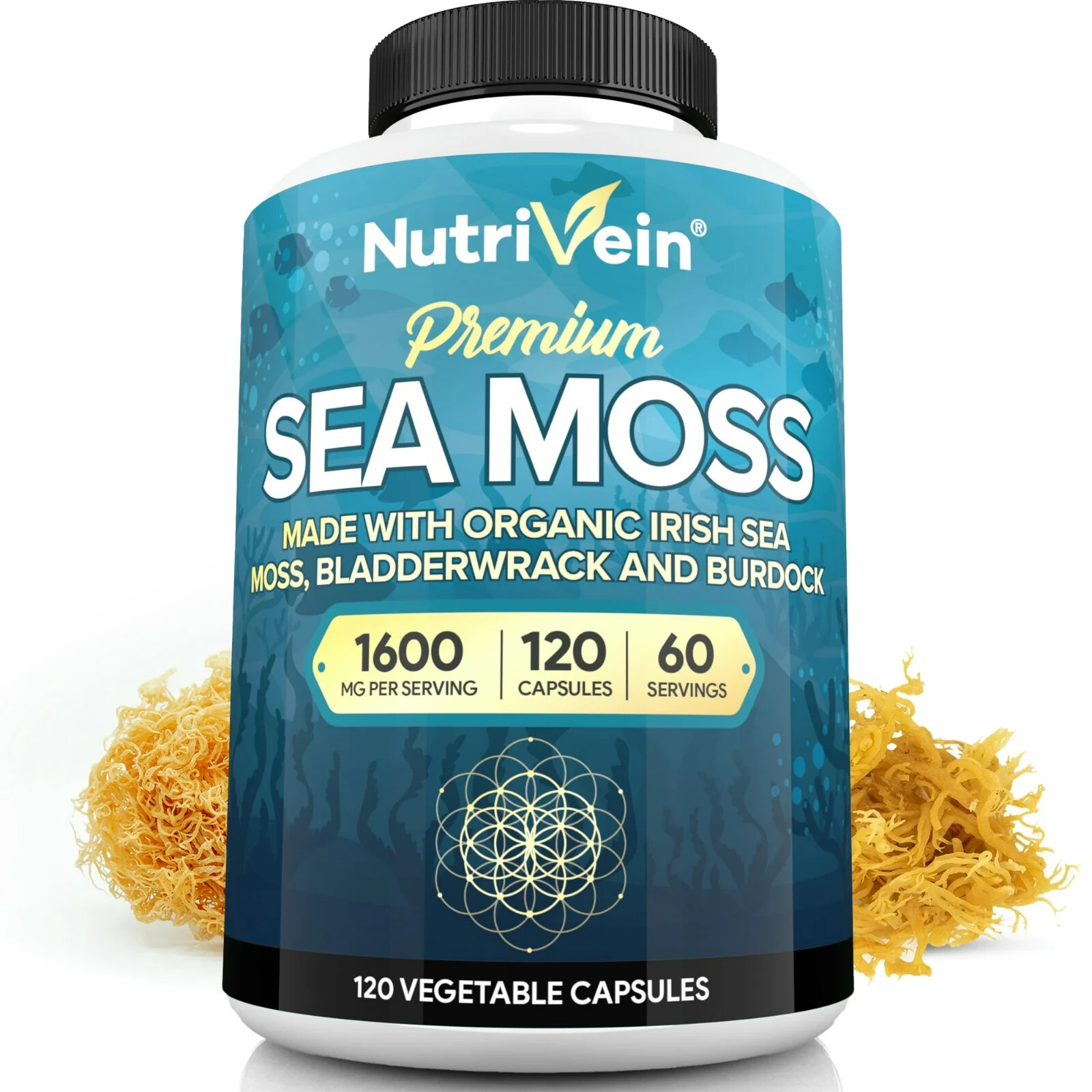 Nutrivein Organic Sea Moss 1600mg – 120 Capsules – Keto Detox, Gut, Joint Suppor