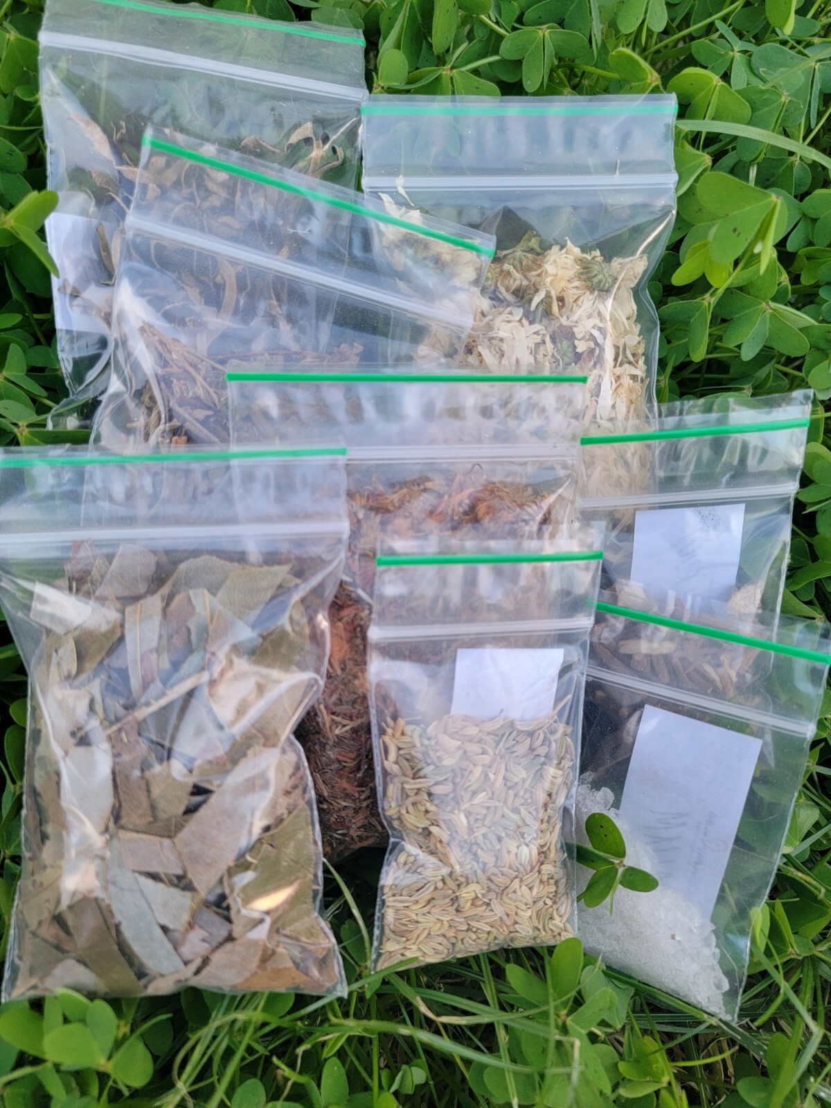 Herbs, Flowers, Roots, Bark + A – D – Witchcraft/Wicca/Ritual/Spells/Rare