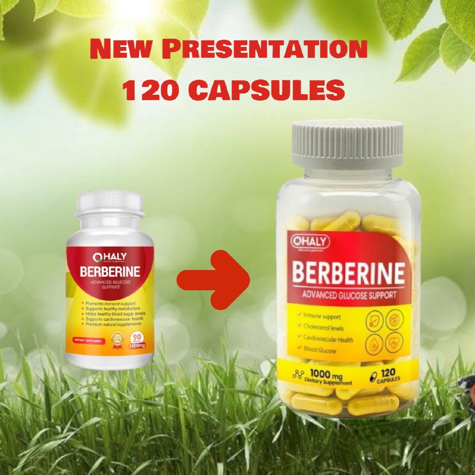 Qhaly Berberine HCL Extract 1000mg Health Cholesterol Supplement 120 Pill