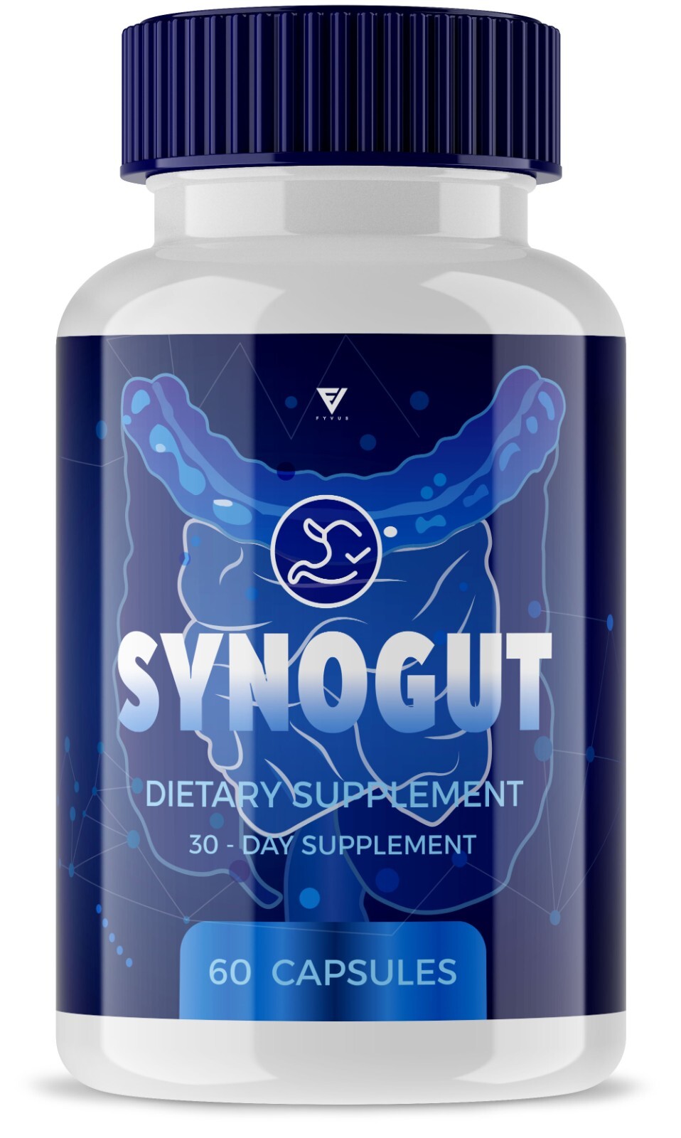 Synogut Capsules for Digestive and Gut Support Maximum Strength (60 Capsules)