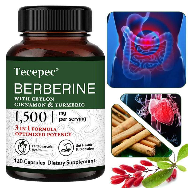Berberine Ceylon Cinnamon Supports Gut Digestion Heart Health 120 Capsules