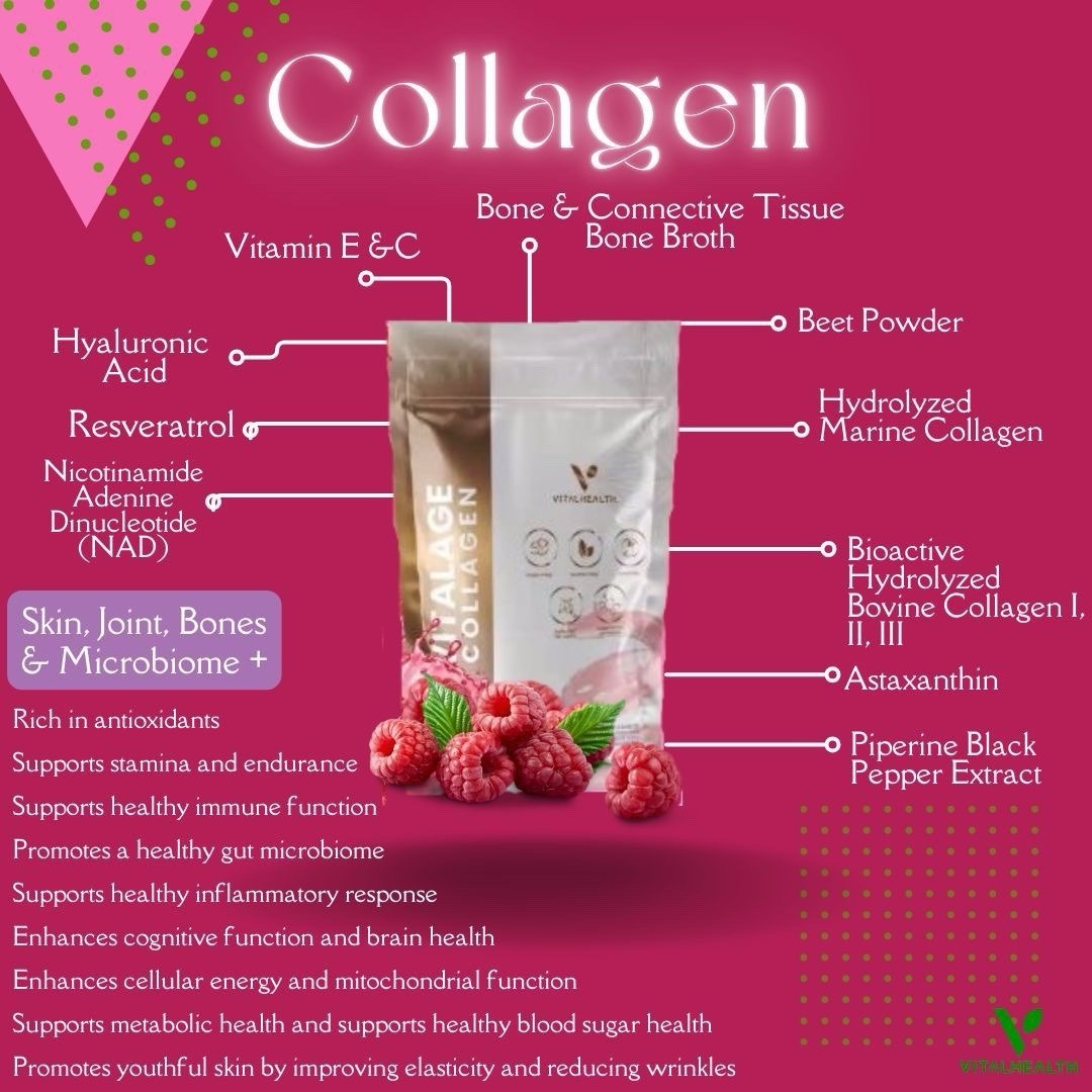 VITALAGE COLLAGEN by Vitalhealth Bone Broth Exp 26