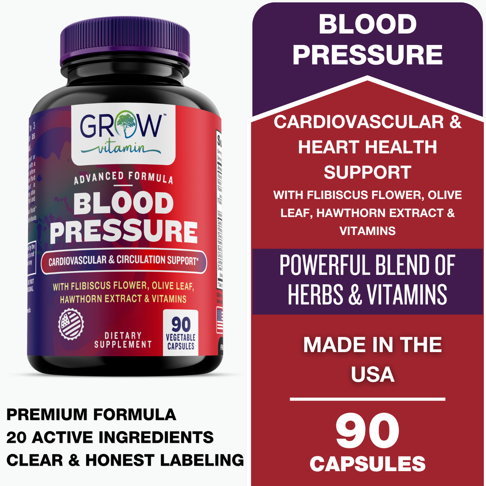 Blood Pressure Support, High BP Supplement with 13 Vitamins & Herbs – 90 Capsule