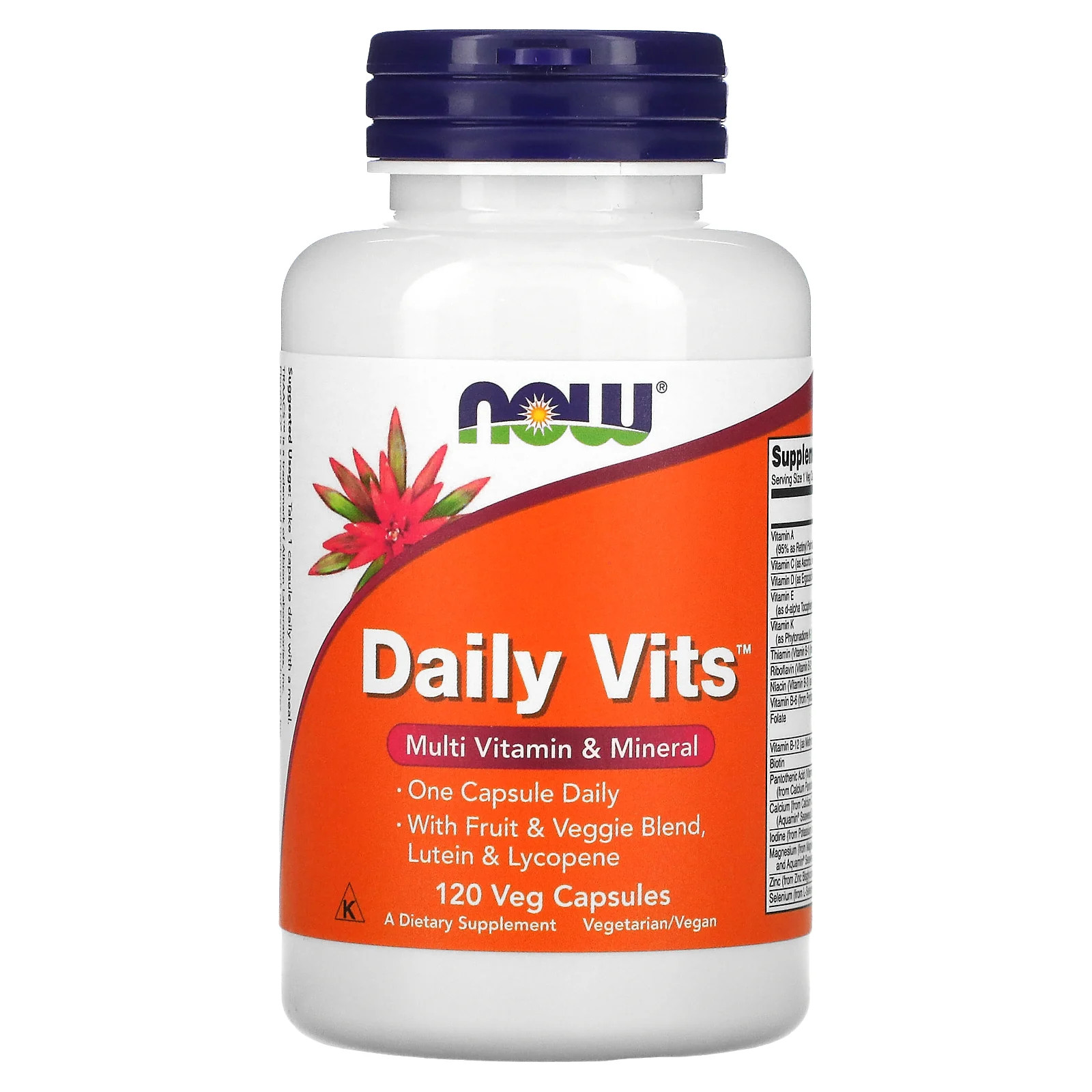 Daily Vits™, Multi Vitamin & Mineral, 120 Veg Capsules