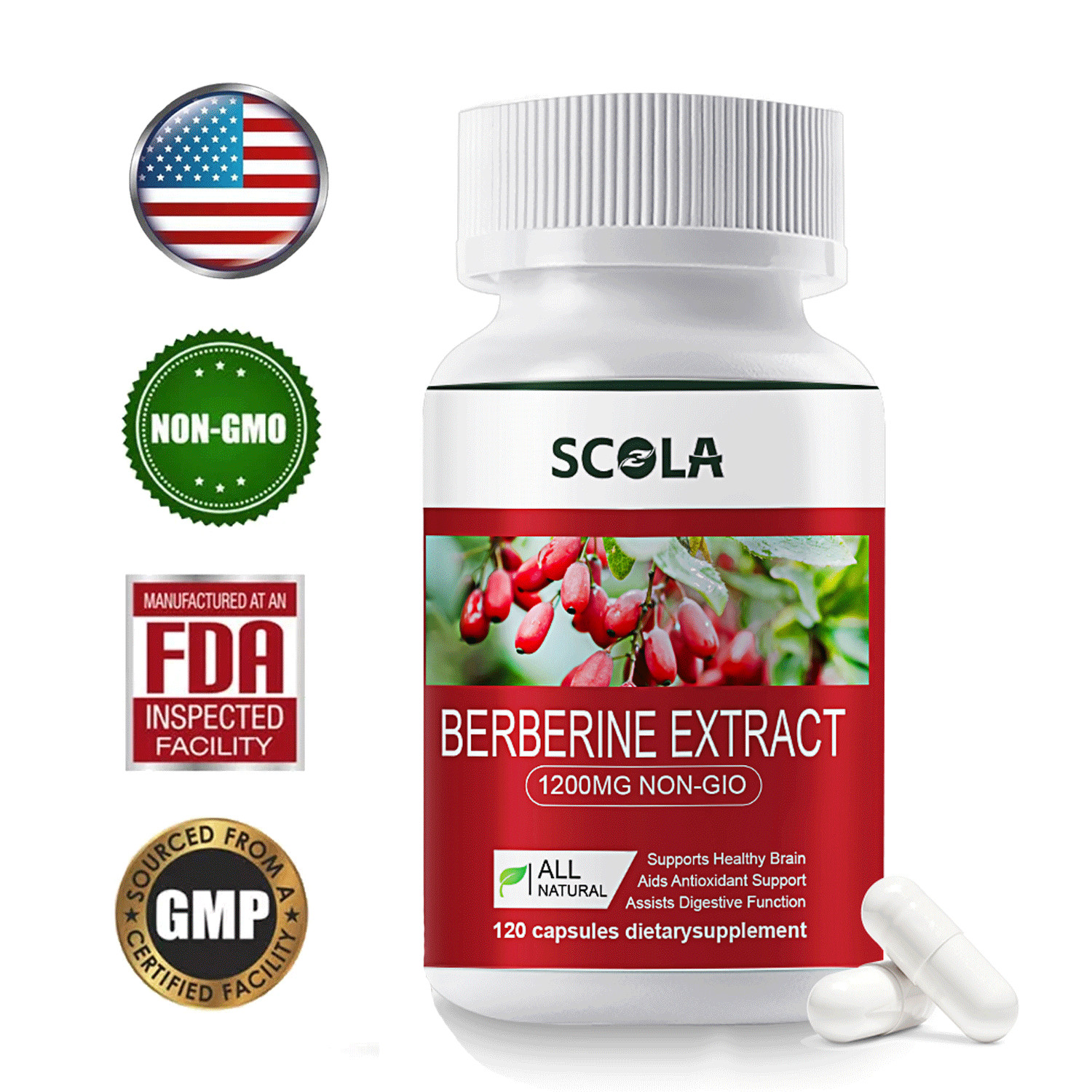 Premium Berberine HCL Extract 1200mg, Healthy Cholesterol, Anti-inflammatory