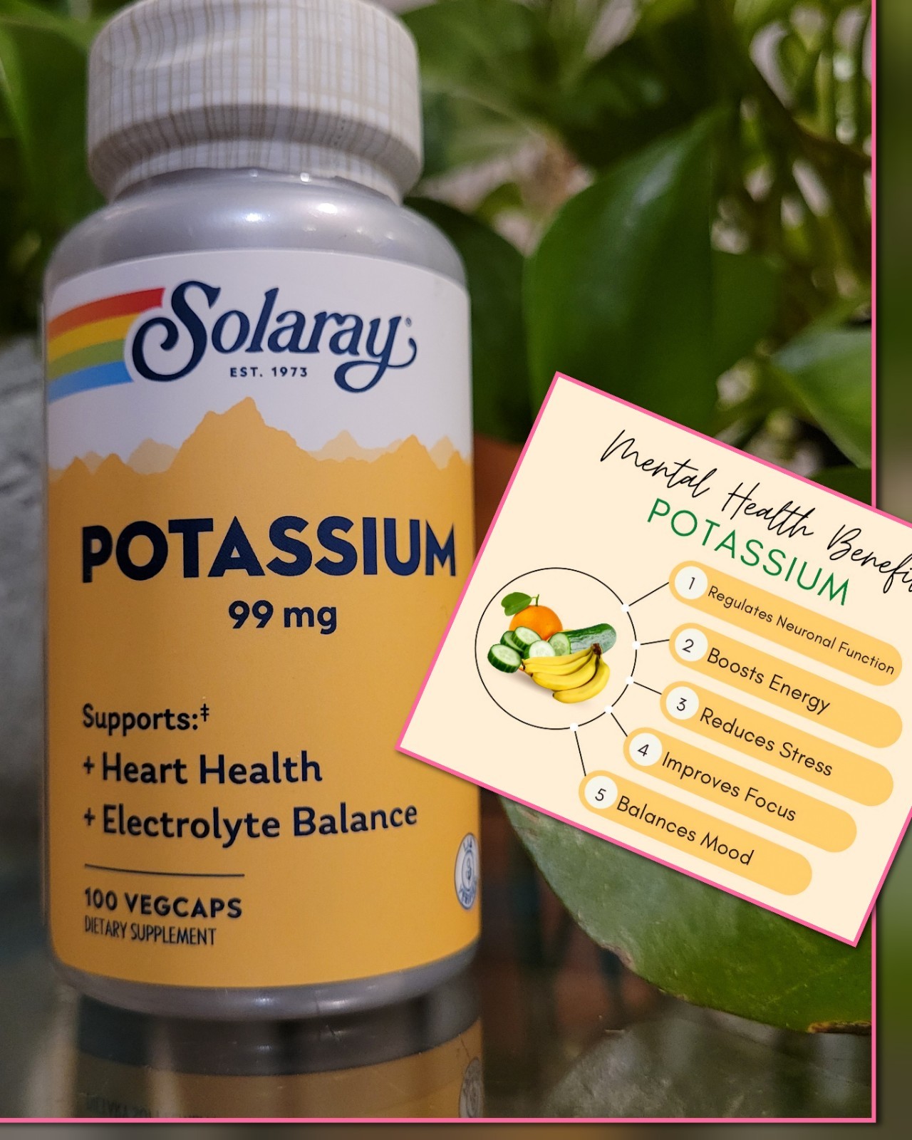 Solaray Potassium 99 mg Electrolyte Balance Formula Heart Health Energy 100ct