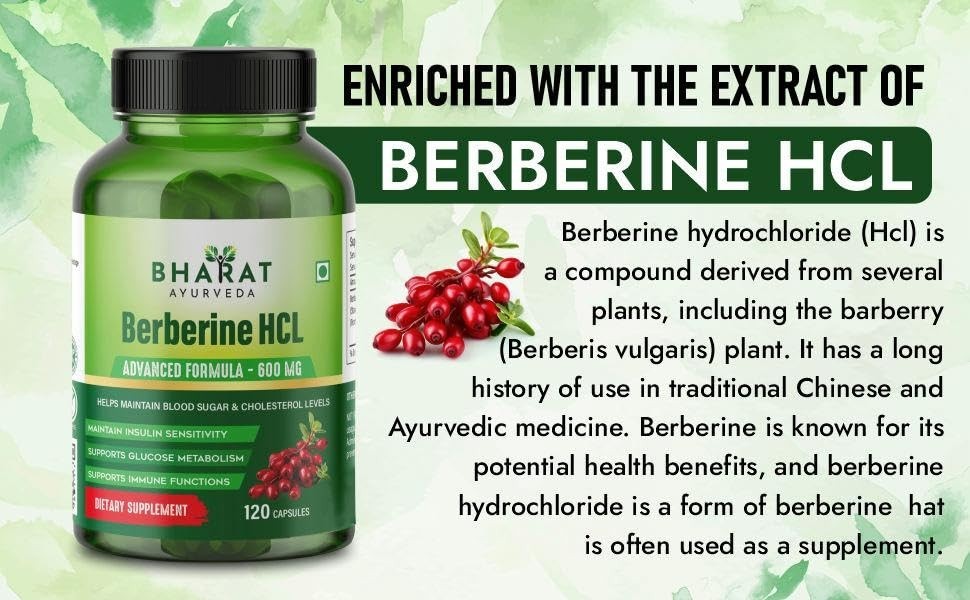 Berberine HCL 600mg Cardiovascular & Metabolic Health Support