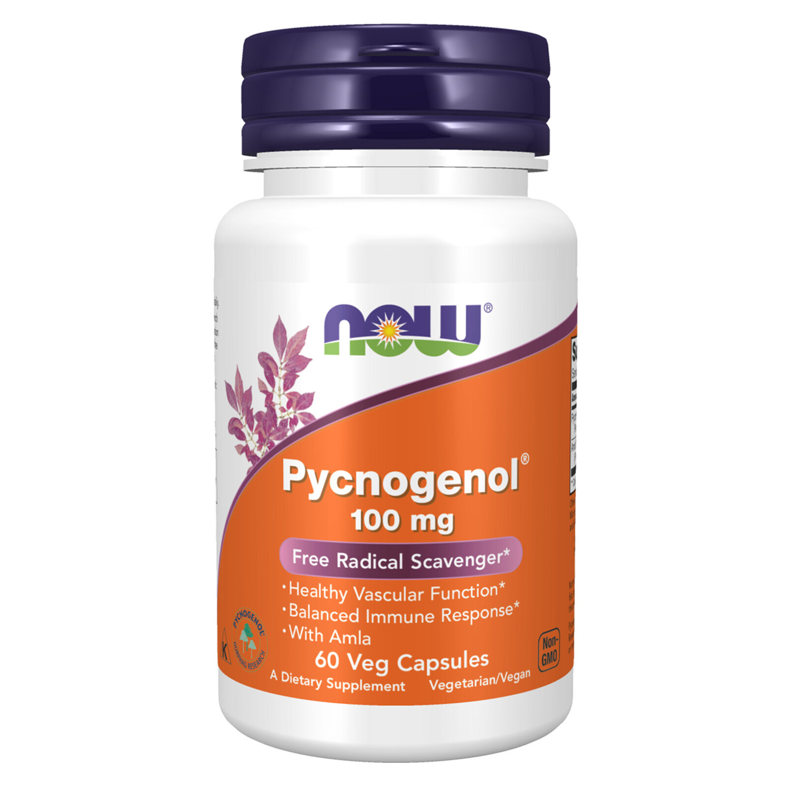 NOW FOODS Pycnogenol 100 mg 60 Veg Capsules