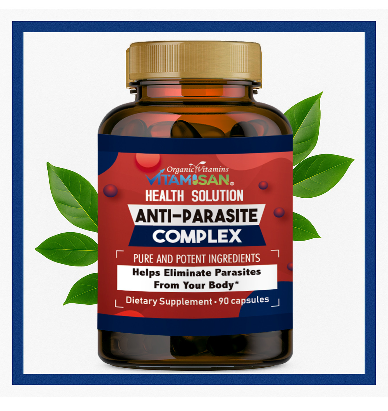 PARASITE DETOX BODY CLEANSE Complex Anti- PARASITE Support Detox90 Candida Detox