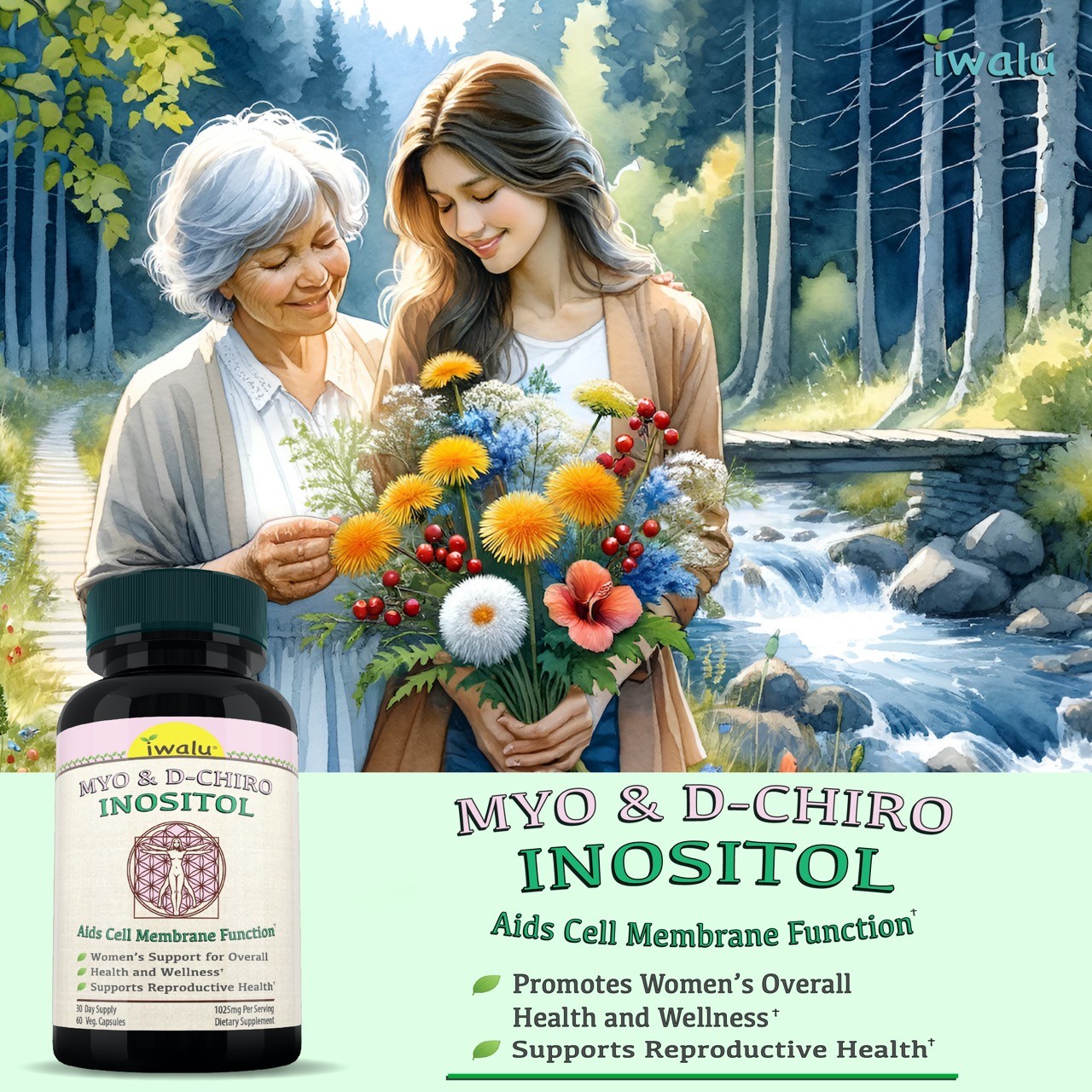 Best Probiotics And Menopause, IWALU Inositol | *FREE SHIPPING* Same Day