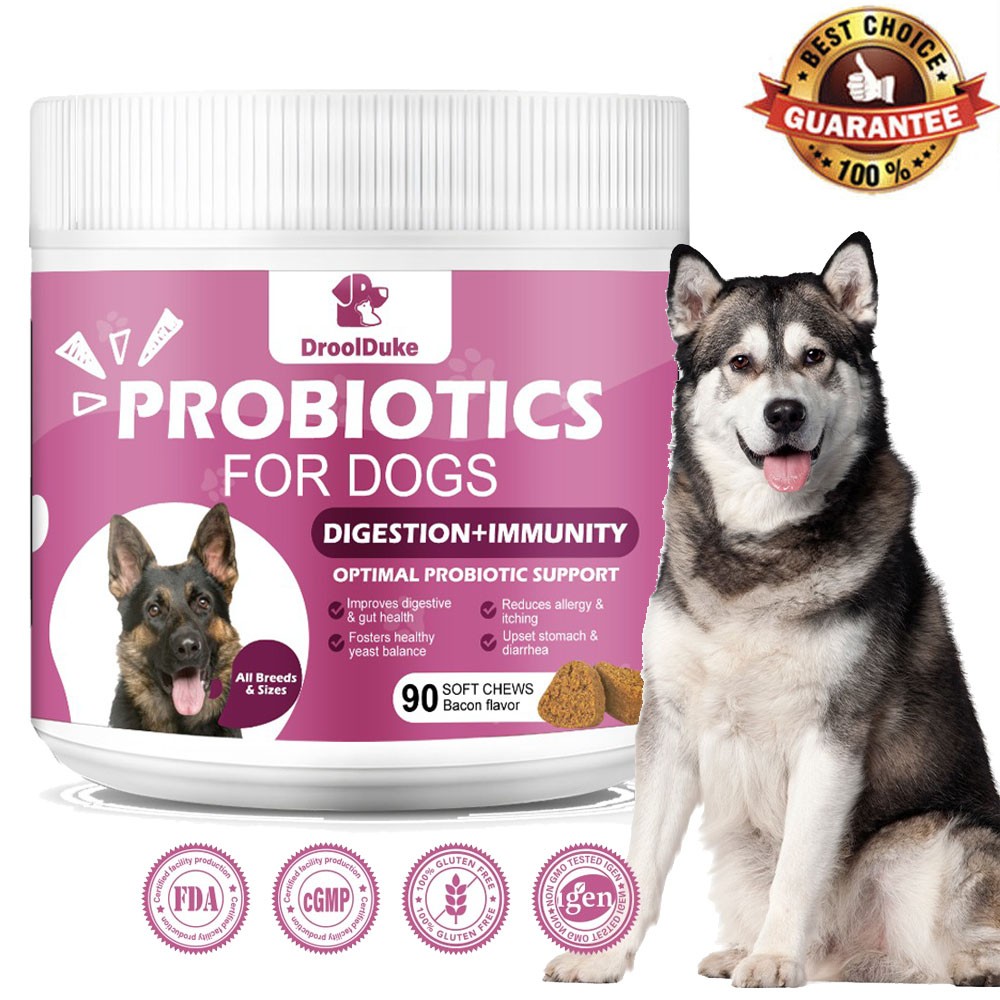 Premium Probiotics for Dogs Supports Digestive Gut Health, Seasonal Allergies US