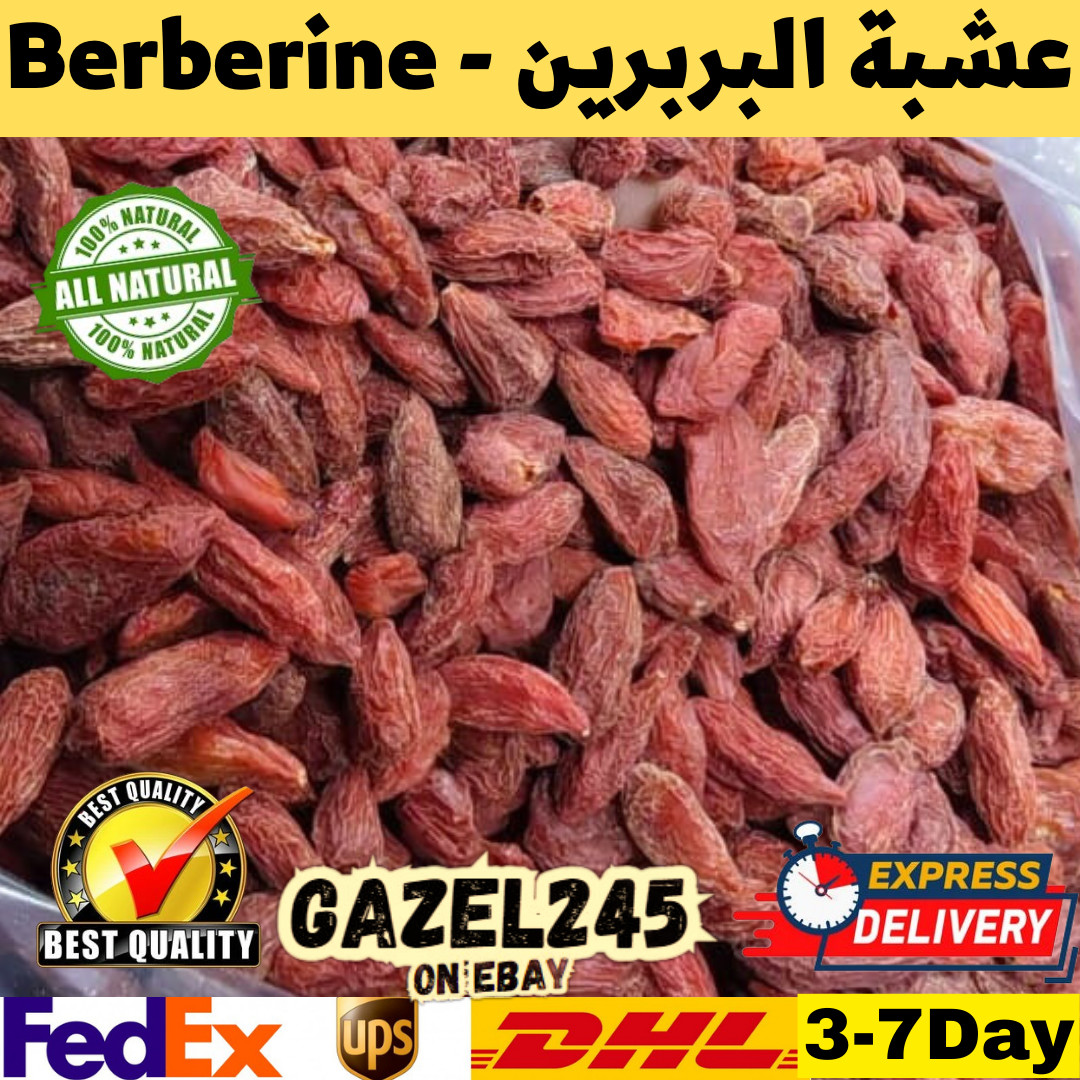 Dried Berberine Herb بربرين Sourced Wellness GAZEL245 عشبة البربرين
