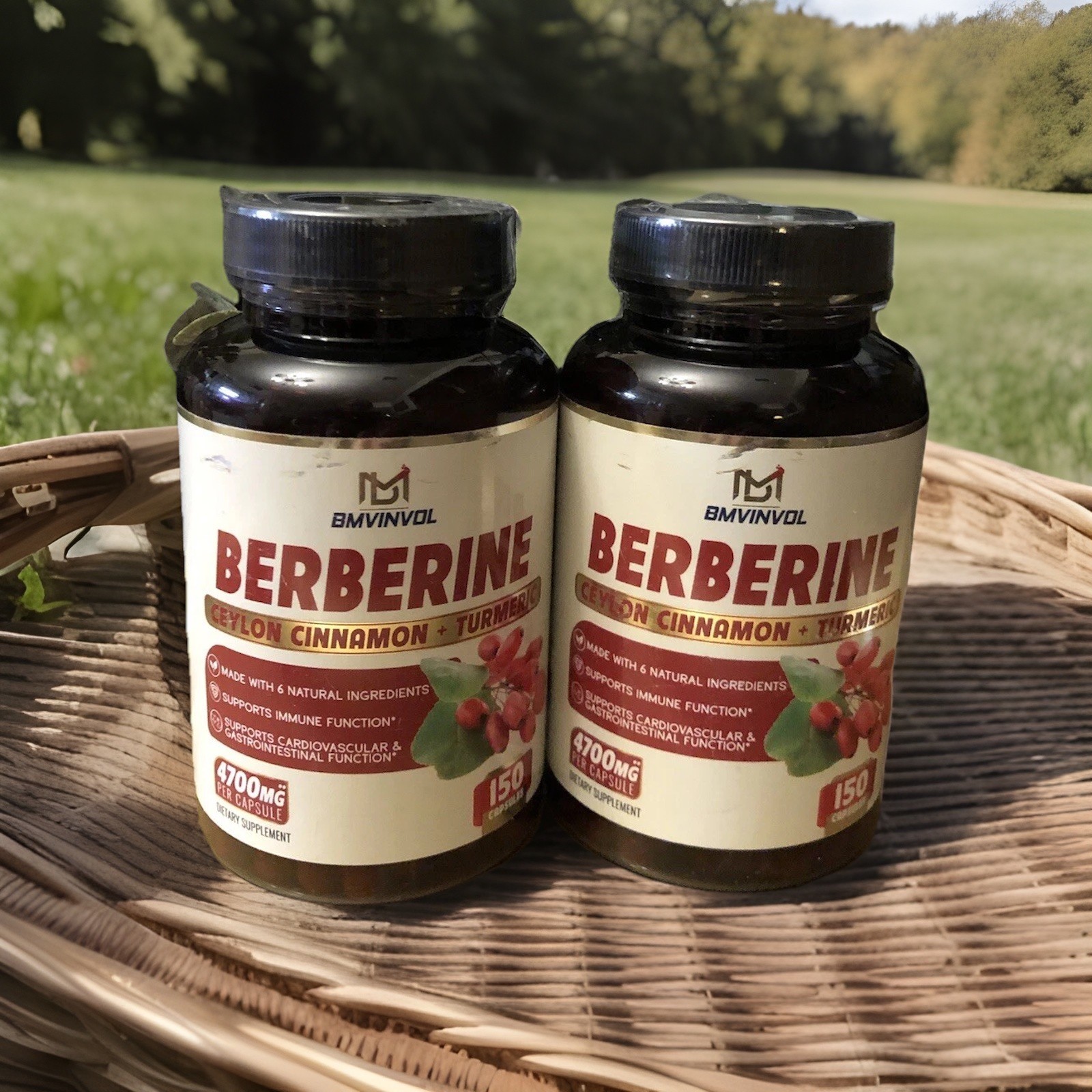 Berberine 4700mg – 6 Natural Ingredients For Immune, Cardio, Gastro Function