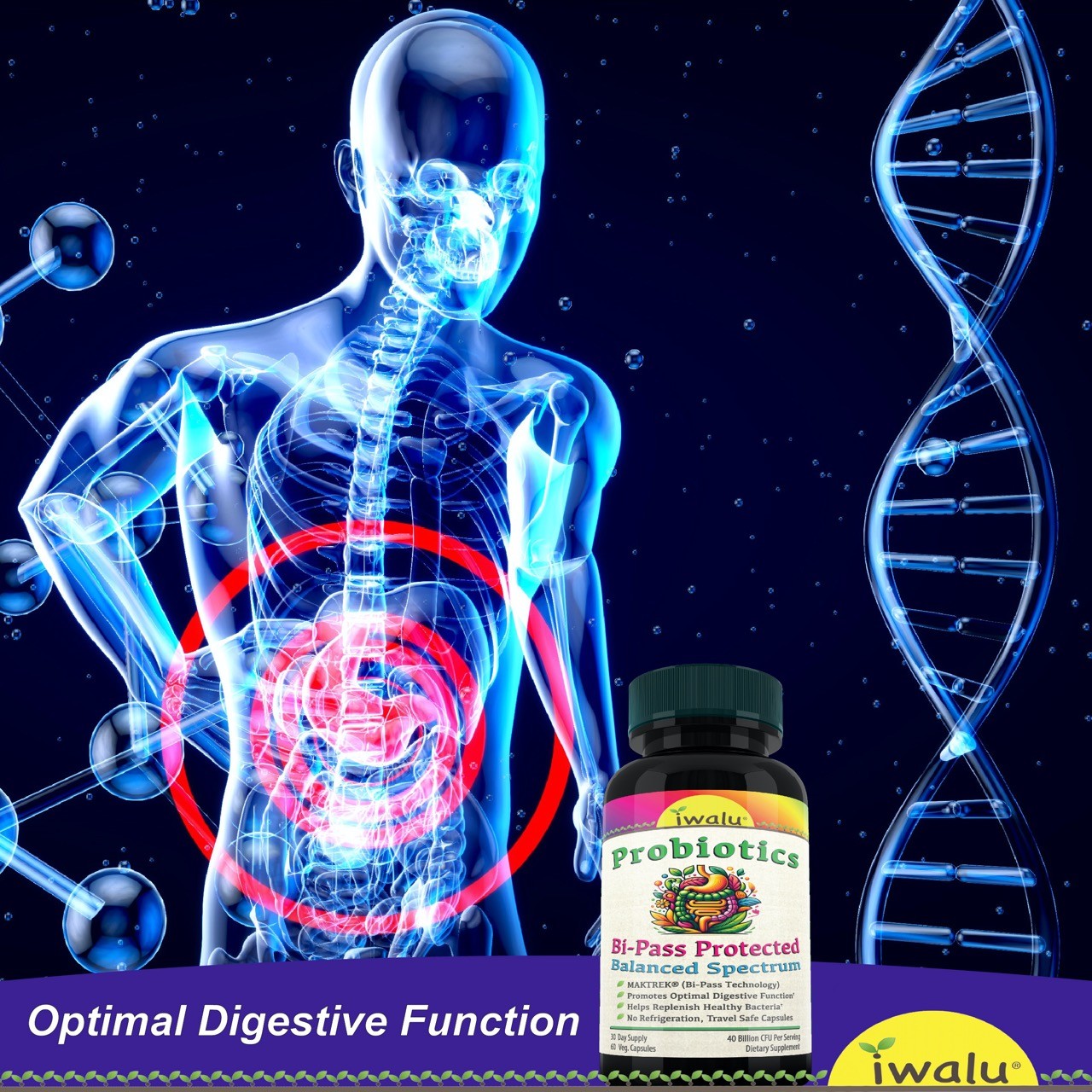 Best Prebiotic & Probiotic, IWALU | *FAST FREE SHIPPING* Same Day