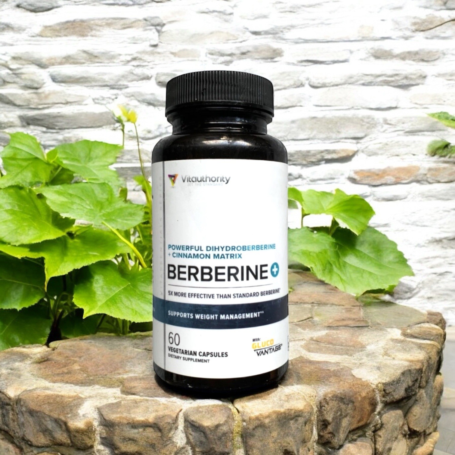 Berberine with Ceylon Cinnamon High Absorption Dihydroberberine B