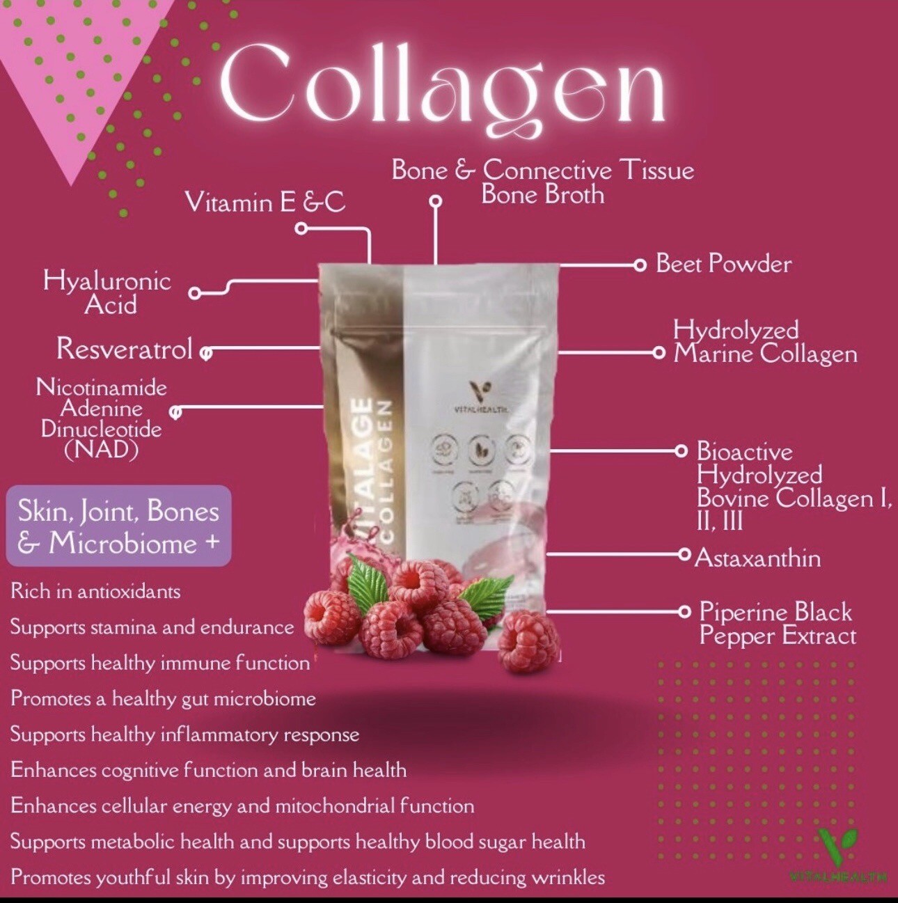 V-COLLAGEN by Vitalhealth – SKIN, JOINT, BONES & MICROBIOME +