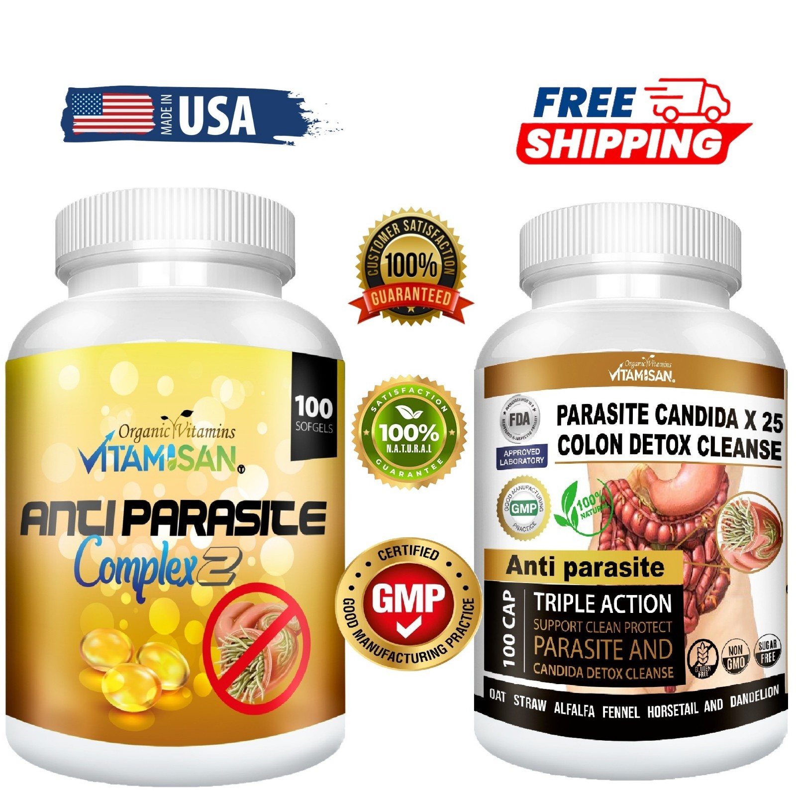 Parasite Cleanse Detox 100 CAPSULES – ANTI PARASITE COMPLEX  100 CAPS total 200