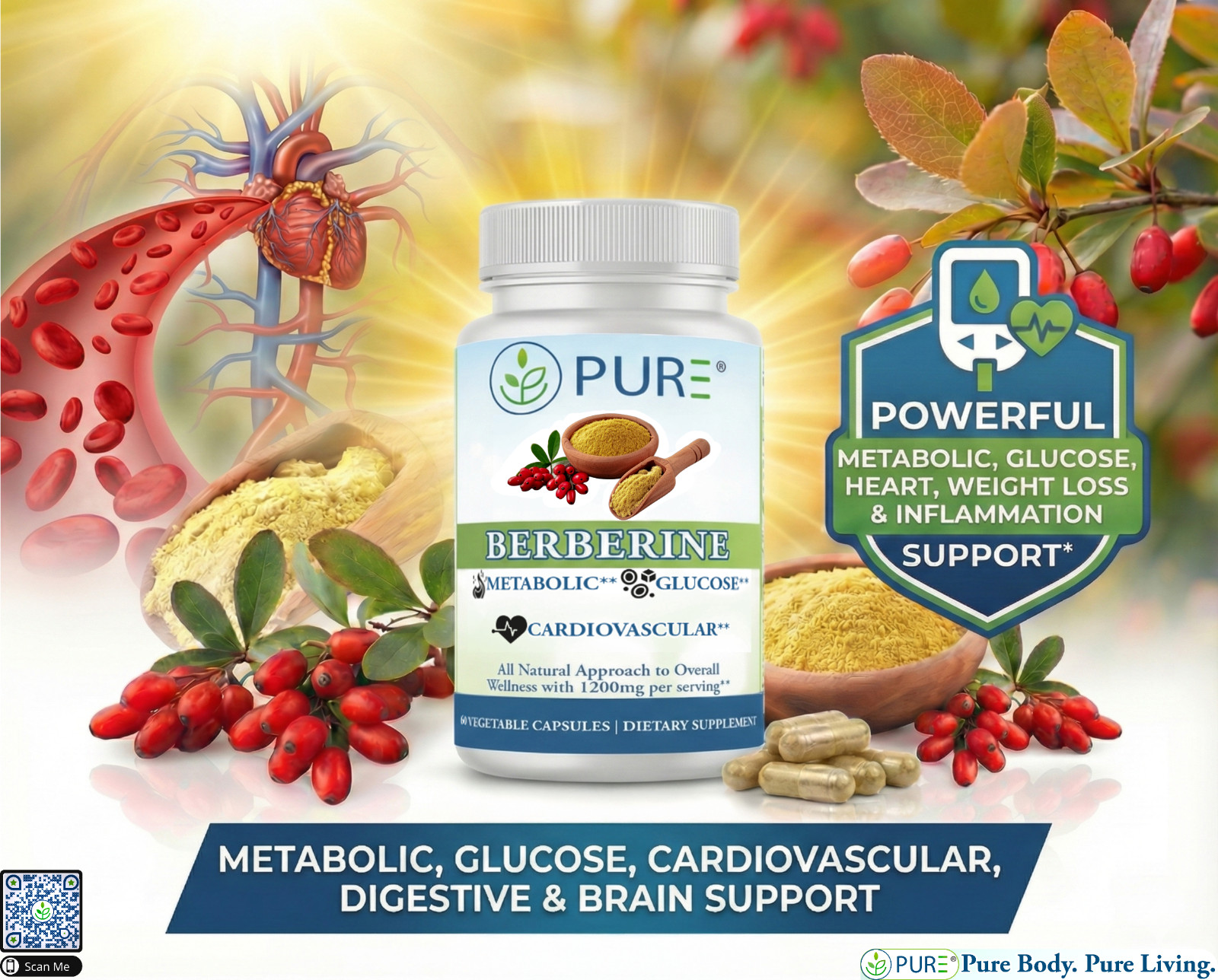 Pure Berberine 1200mg, Blood Sugar, Heart, Weight Loss, Metabolic, 30 Caps, USA!