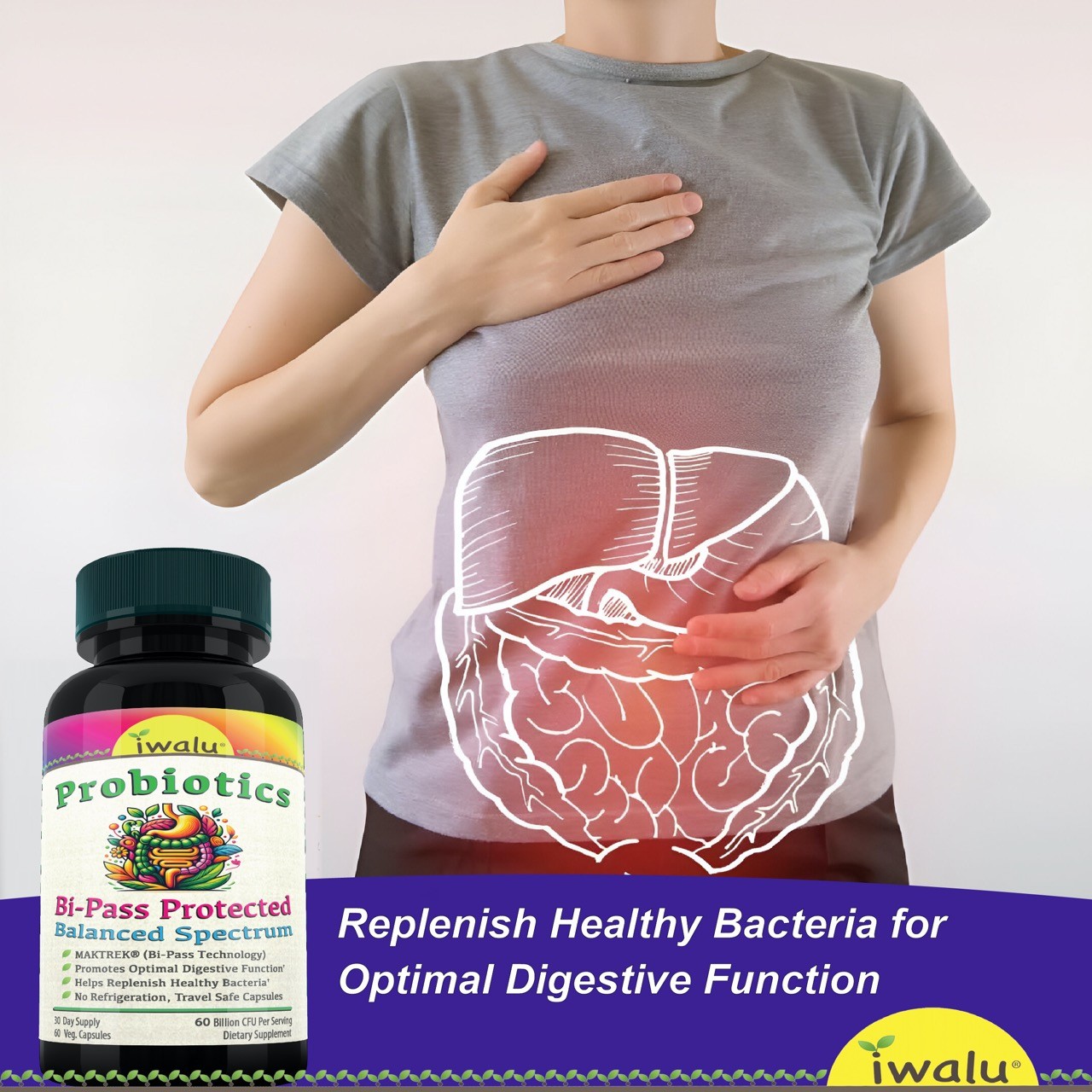 Los Mejores Probióticos – Salud Intestinal IWALU *ENVÍO RÁPIDO Y GRATIS
