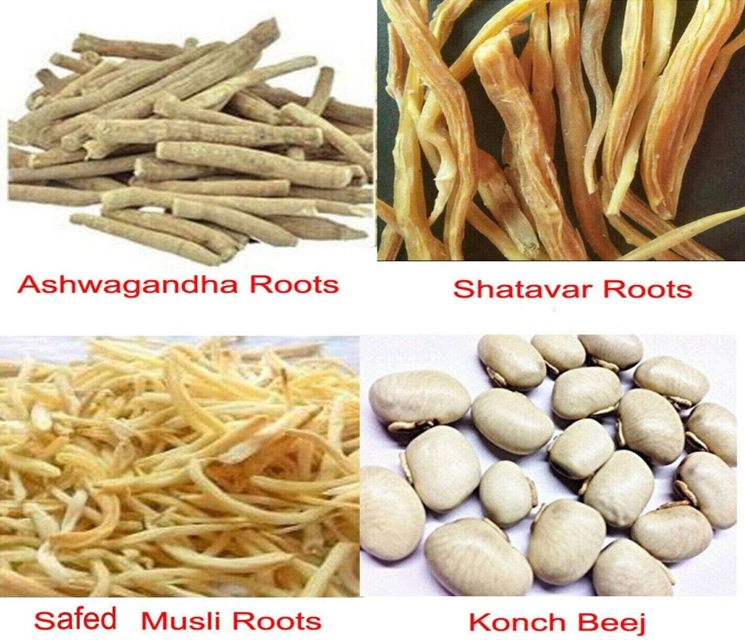 Safed Musli Shatavar Ashwagandha Konch Beej Roots Pack Complete Solution For Men