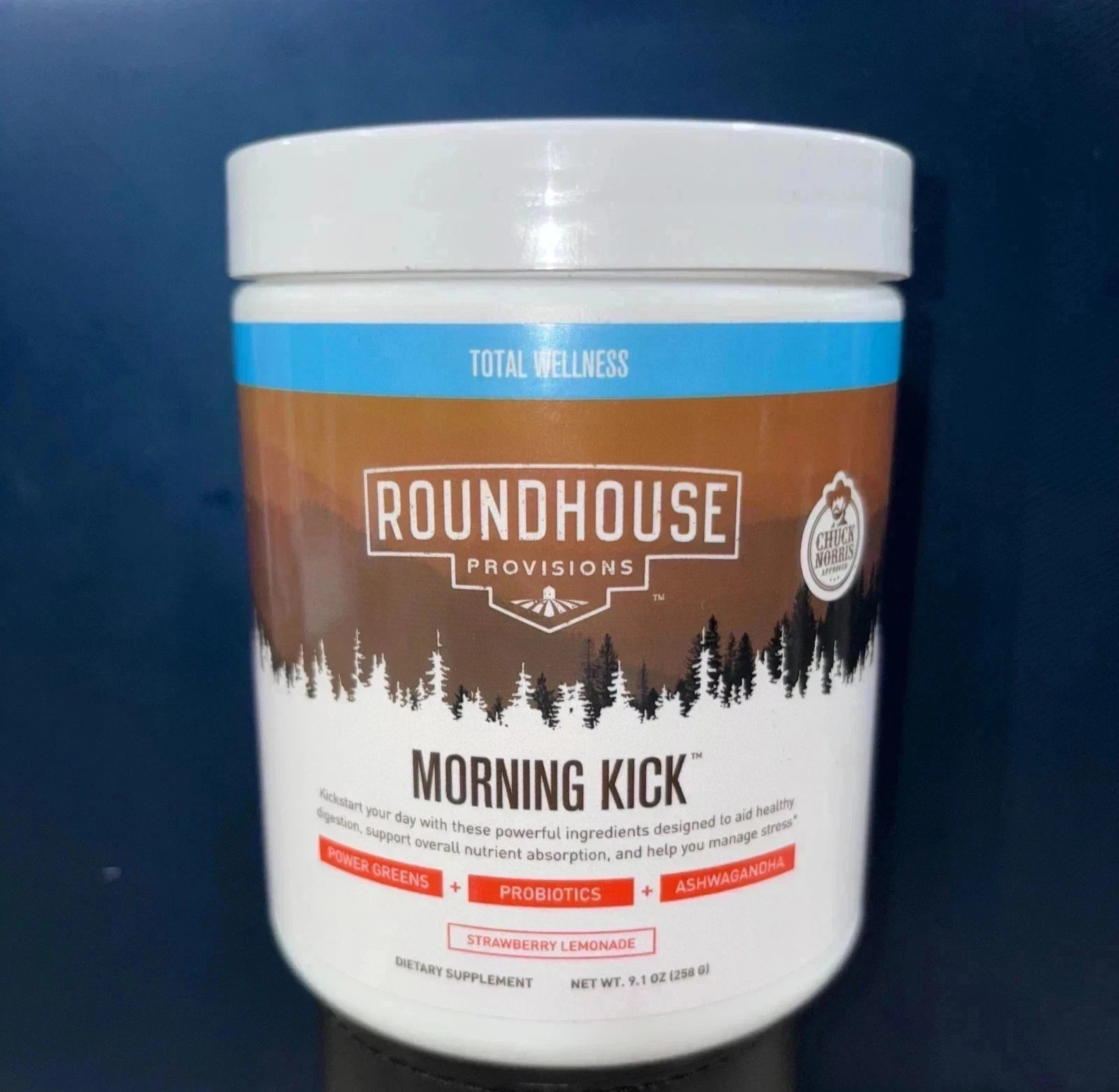 ROUNDHOUSE PROVISIONS MORNING KICK-DIGESTIVE POWDER-STRAWBERRY LEMONADE, 9.1 oz